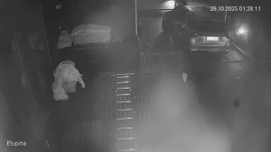 Caméra IP - Finlandia