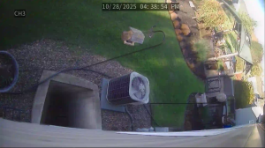 Caméra IP - Estados Unidos