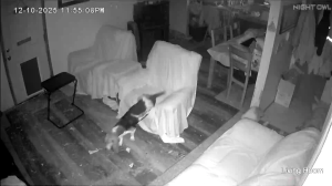 Caméra IP - États-Unis d'Amérique