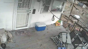 Caméra IP - Estados Unidos