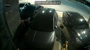 Caméra IP - Corea del Sud