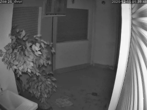 Caméra IP - Spanien