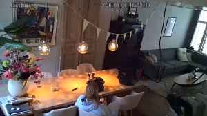 Caméra IP - Países Bajos