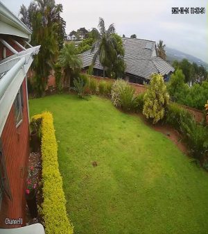 Caméra IP - Sudafrica