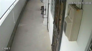 Caméra IP - Singapore