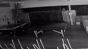 Caméra IP - Dänemark