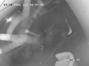 Caméra IP - United Kingdom