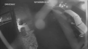 Caméra IP - United States of America