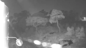 Caméra IP - South Korea