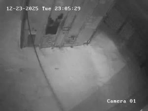 Caméra IP - Kazakhstan