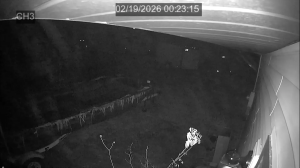 Caméra IP - Porto Rico