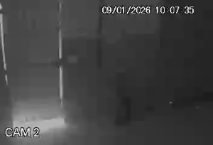 Caméra IP - Brésil