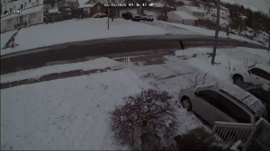 Caméra IP - Vereinigte Staaten von Amerika