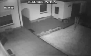 Caméra IP - Netherlands