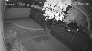 Caméra IP - Curaçao