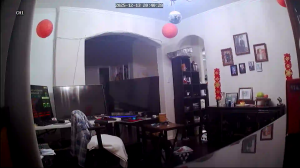 Caméra IP - États-Unis d'Amérique