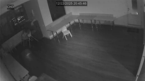 Caméra IP - Georgia