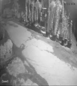 Caméra IP - Türkei