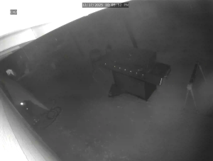 Caméra IP - Vereinigte Staaten von Amerika