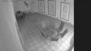 Caméra IP - Polen