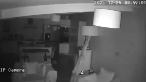 Caméra IP - New Caledonia