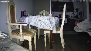 Caméra IP - Estados Unidos