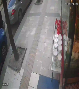 Caméra IP - Türkei