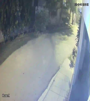 Caméra IP - Pakistan