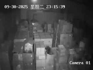 Caméra IP - Chine