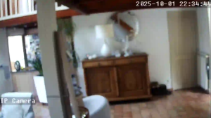 Caméra IP - Francia