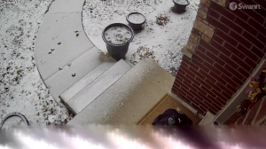 Caméra IP - United States of America