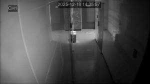 Caméra IP - Südkorea