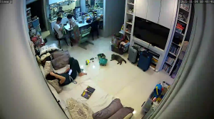 Caméra IP - Singapour