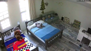 Caméra IP - Arabia Saudita