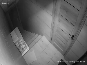 Caméra IP - Ucrania