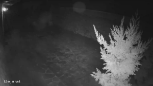 Caméra IP - Hungary