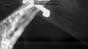 Caméra IP - Belgien