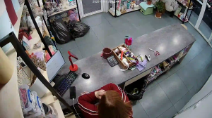 Caméra IP - Russian Federation