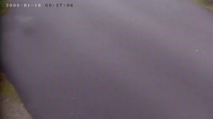 Caméra IP - Dinamarca