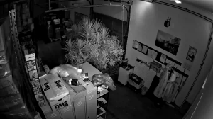 Caméra IP - Allemagne