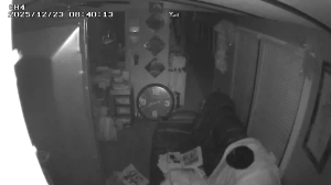 Caméra IP - Vereinigte Staaten von Amerika