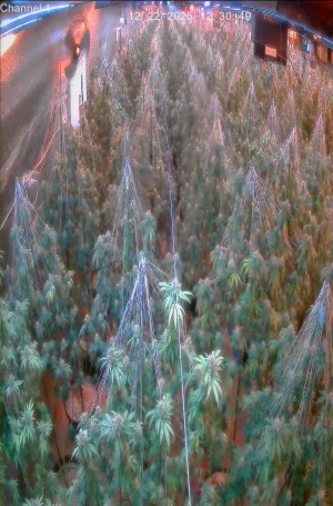 Caméra IP - Canadá