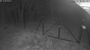 Caméra IP - Hongrie