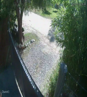 Caméra IP - Uruguay