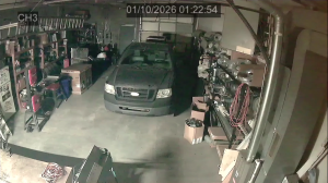 Caméra IP - United States of America