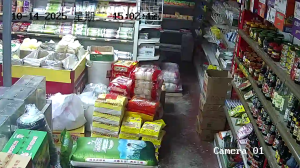 Caméra IP - China