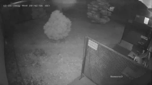 Caméra IP - Czech Republic