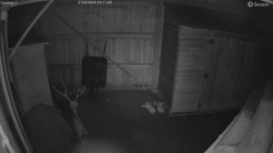 Caméra IP - Royaume-Uni