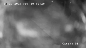 Caméra IP - Pologne