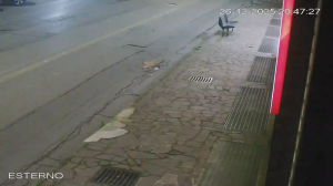 Caméra IP - Italien